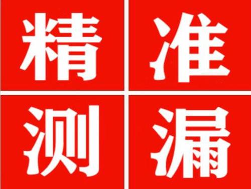 义安尚嘉漏水精准查找